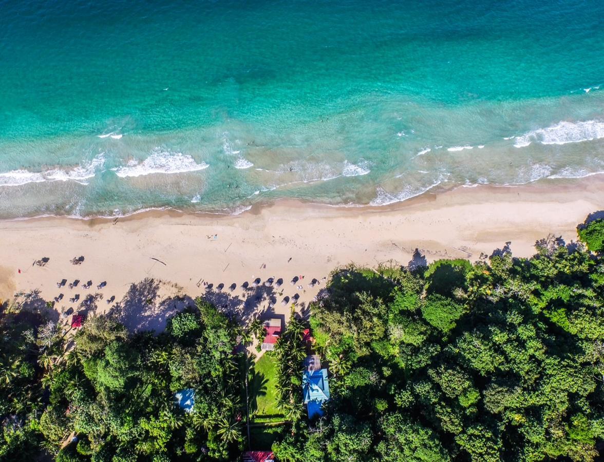 Red Frog Bungalows Surf Resort Bastimentos Luaran gambar