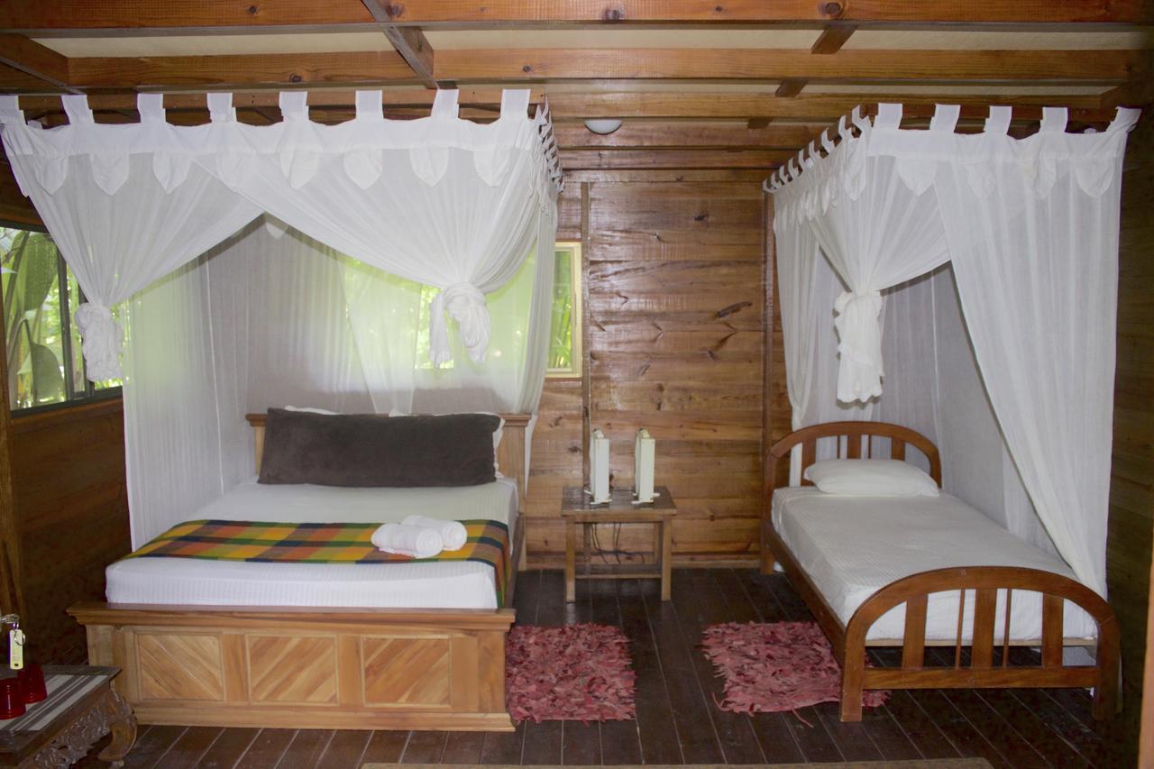 Red Frog Bungalows Surf Resort Bastimentos Luaran gambar