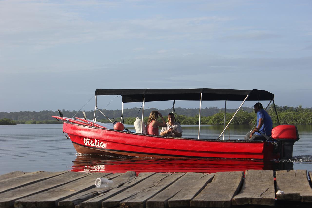 Red Frog Bungalows Surf Resort Bastimentos Luaran gambar