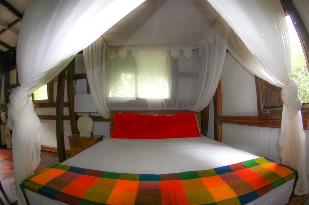 Red Frog Bungalows Surf Resort Bastimentos Luaran gambar