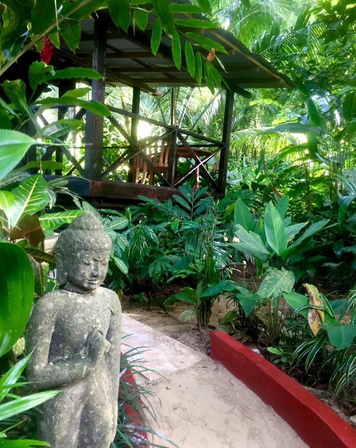 Red Frog Bungalows Surf Resort Bastimentos Luaran gambar