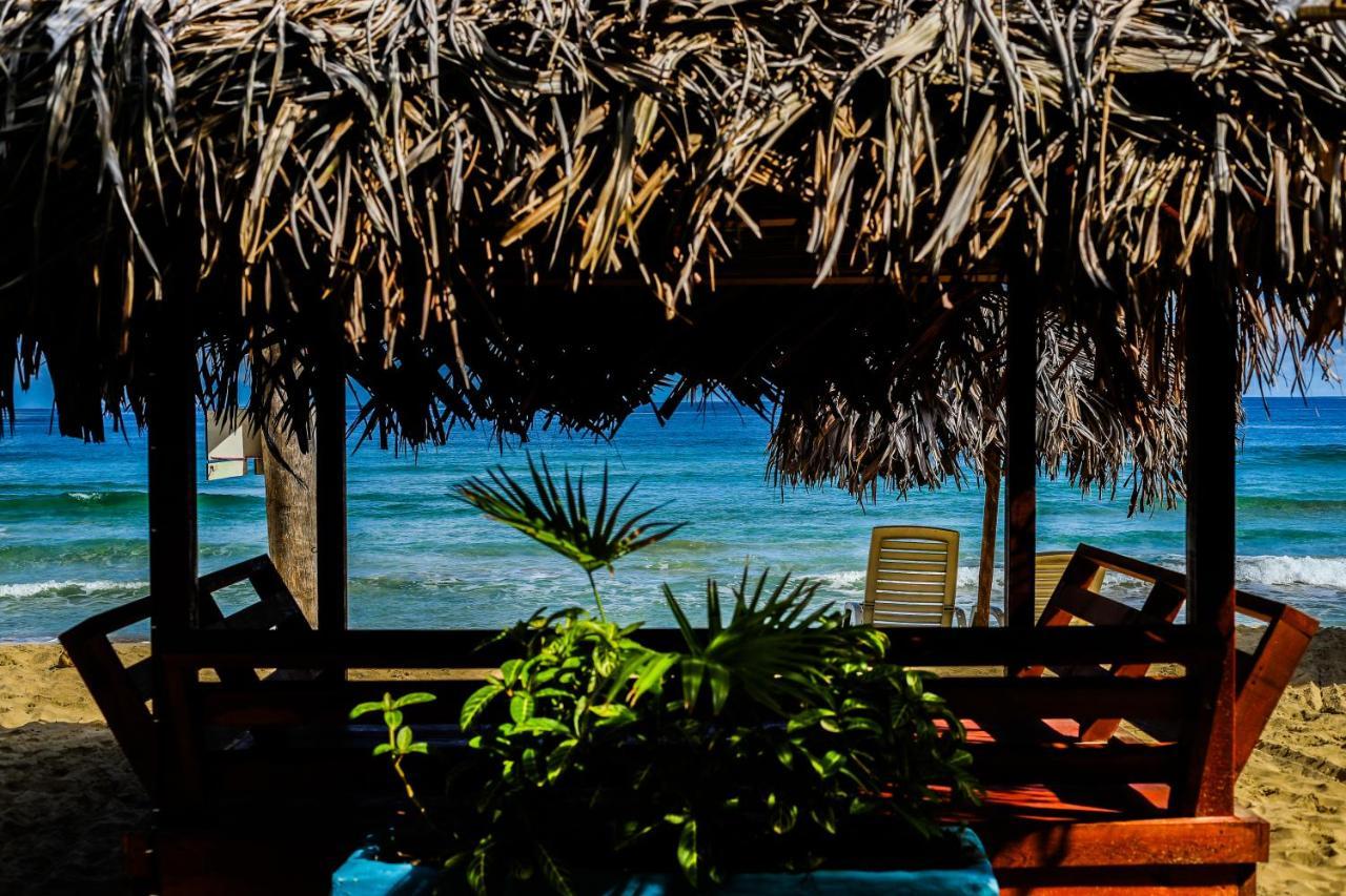 Red Frog Bungalows Surf Resort Bastimentos Luaran gambar